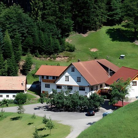 شقة Holderstanzenhof باد بيترستال غريسب المظهر الخارجي الصورة